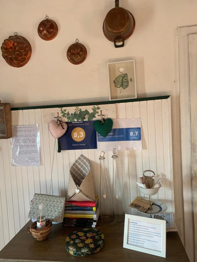Fattoria Amelia Villa Santa Caterina  Ngoại thất bức ảnh