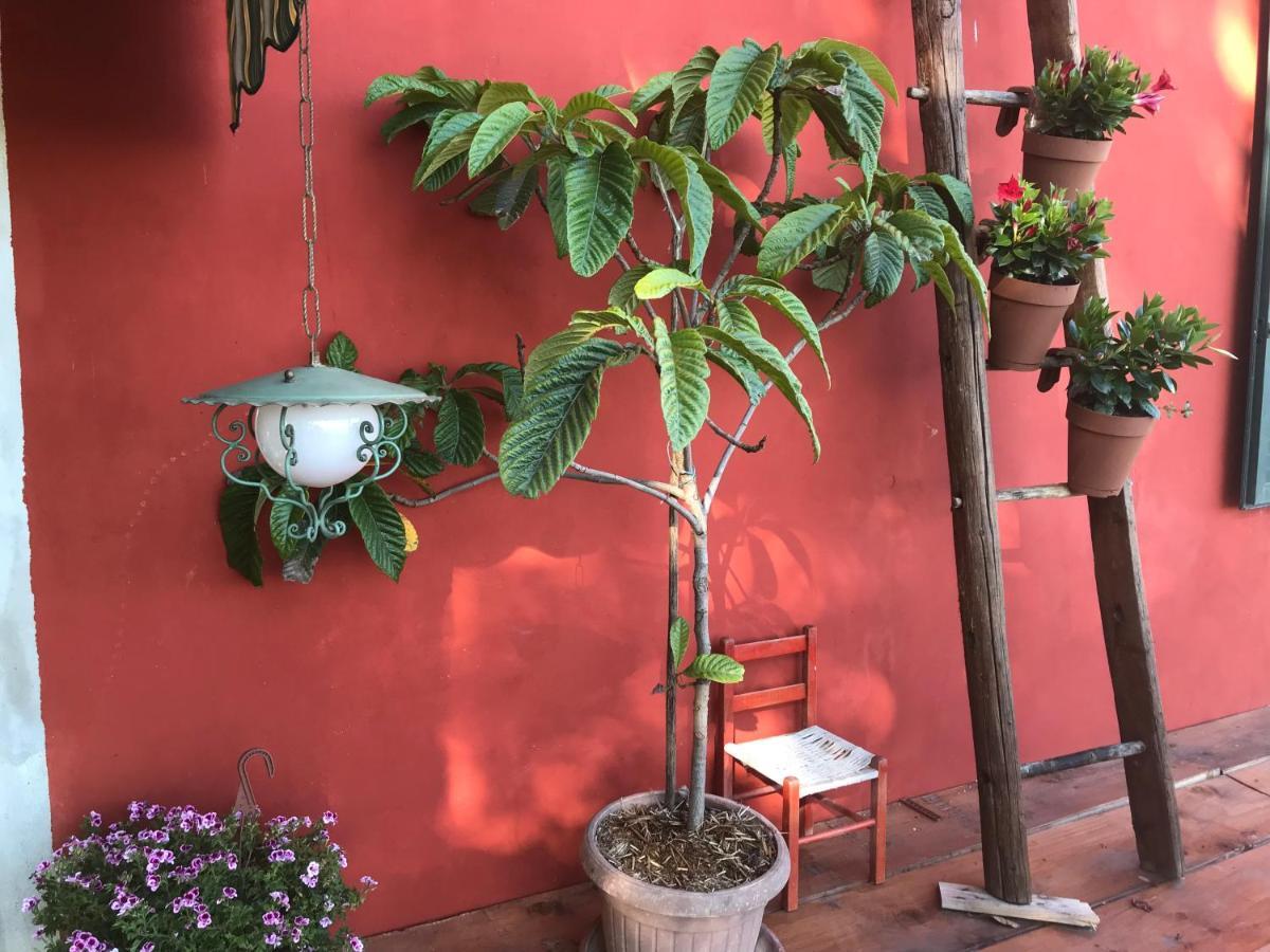 Fattoria Amelia Villa Santa Caterina  Ngoại thất bức ảnh